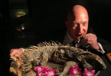 Il papà di Amazon azzanna un iguana: la foto diventa virale