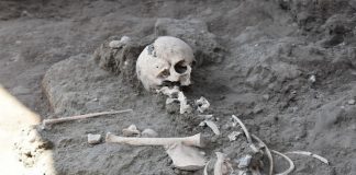Pompei, ritrovato negli scavi lo scheletro di un bimbo di 8 anni