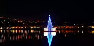 L'albero galleggiante di Bacoli, il più bello del mondo