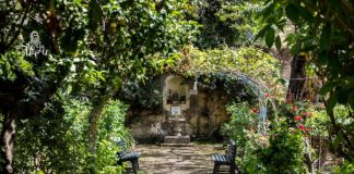 Il giardino di Babuk, un gioiellino nascosto nel centro storico di Napoli