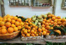 Sagre in Campania 2020: Festa del Mandarino Flegreo
