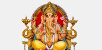 India, l'elefante è un animale sacro: custode dell'energia degli antenati