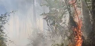Incendio a Torre del Greco: le fiamme si estendono velocemente