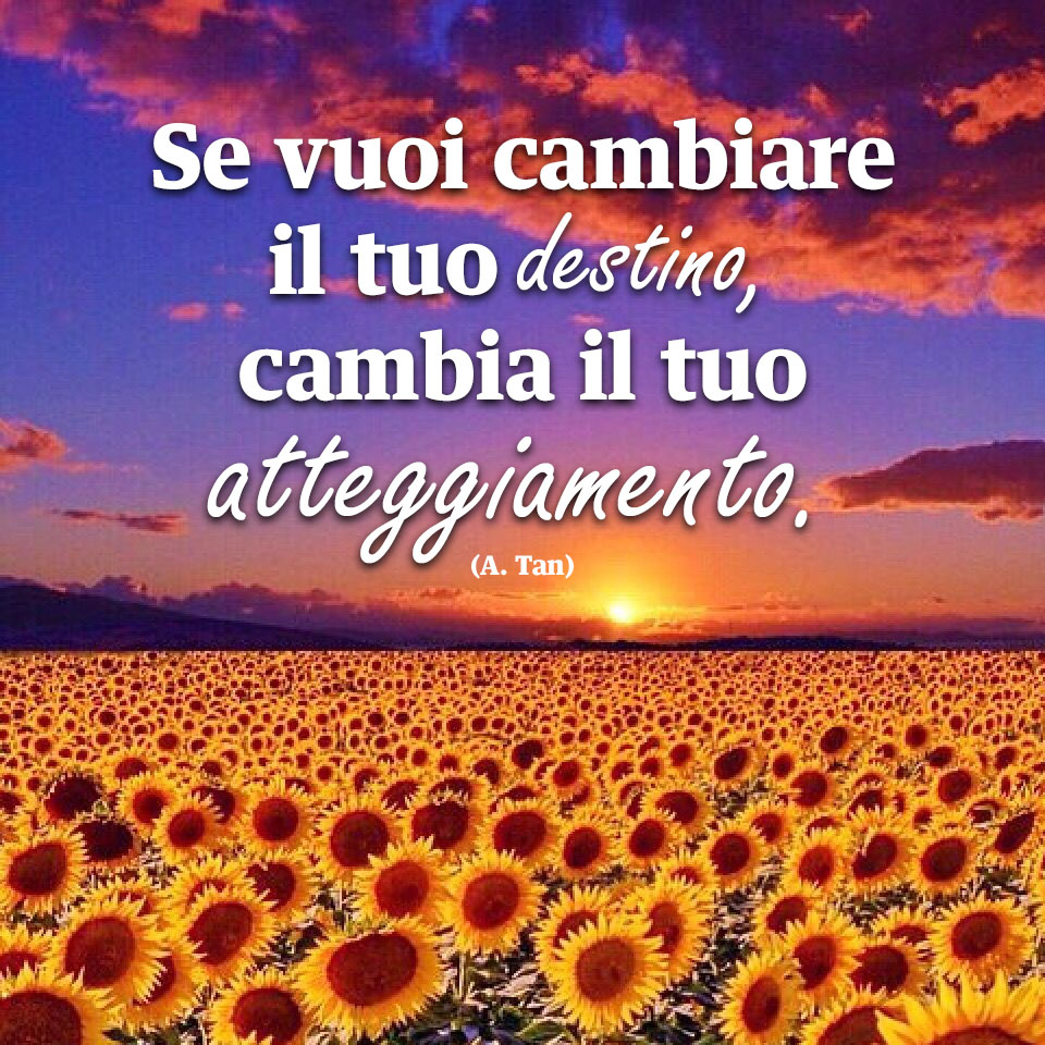 Frasi sul caso della vita