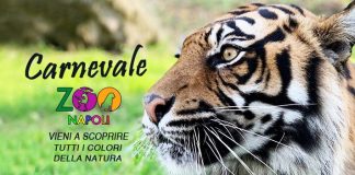 Carnevale a Napoli 2021: allo zoo per i più piccoli