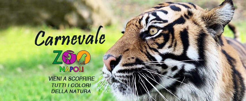 Carnevale a Napoli 2021: allo zoo per i più piccoli