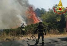 Incendi in Sardegna: flora e fauna divorate dalle fiamme