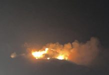Ischia, incendi: bruciati trenta ettari di macchia mediterranea