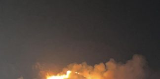 Ischia, incendi: bruciati trenta ettari di macchia mediterranea