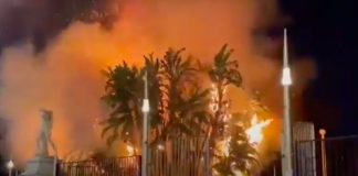 Napoli, incendio villa comunale: colpo alla vegetazione
