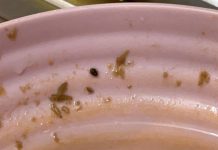 Ponticelli, insetti nei pasti scolastici di una mensa scolastica
