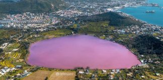 Il lago D'Averno si tinge di rosa: ecco il motivo