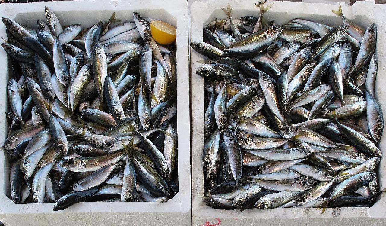 Salerno, sequestrati 90 chili di pesce privo di tracciabilità